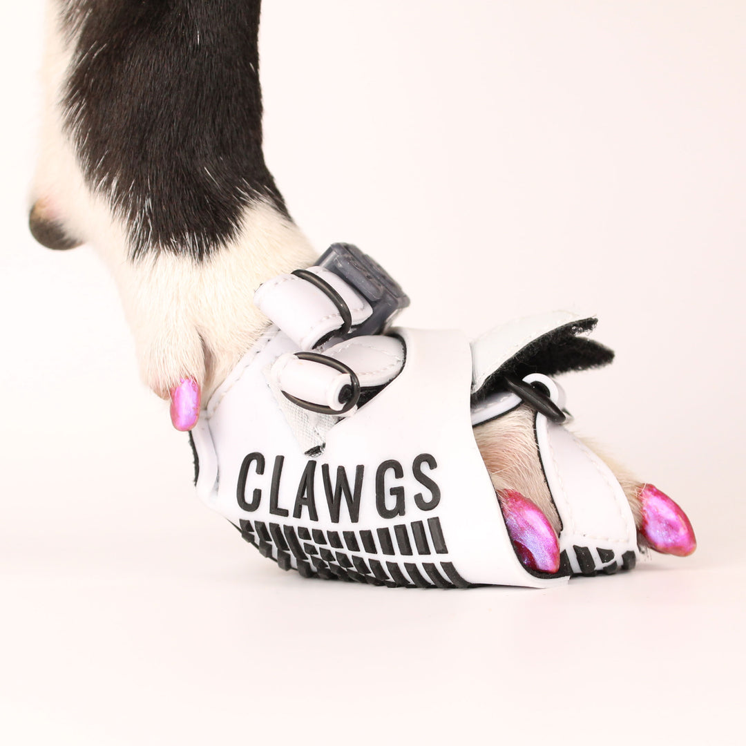 Clawgs V3